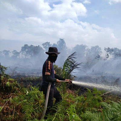 Sudah Ribuan Hektare Terbakar, Karhutla di Rupat Sulit Dipadamkan Karena Angin Kencang